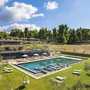 https://sani-verde.hotelschalkidiki.net